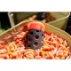 Cosulet Korum - Floating Feeder 63mm